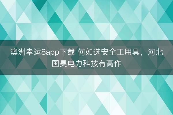 澳洲幸運(yùn)8app下載 何如選安全工用具，河北國昊電力科技有高作